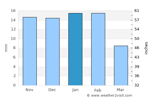 Ciudad Anáhuac average rain in January
