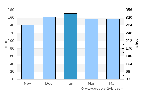 Ciudad del Este average rain in January