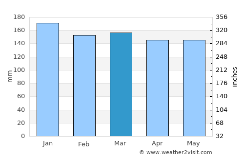 Ciudad del Este average rain in March