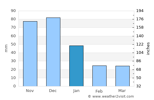 Ciudad Guayana average rain in January