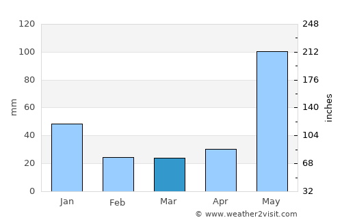 Ciudad Guayana average rain in March