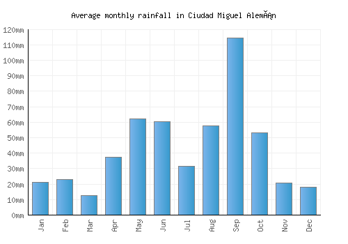 Ciudad Miguel Alemán monthly rainfall chart (mm)