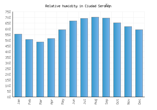 Ciudad Serdán relative humidity averages
