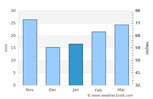 Ciudad Victoria average rain in January