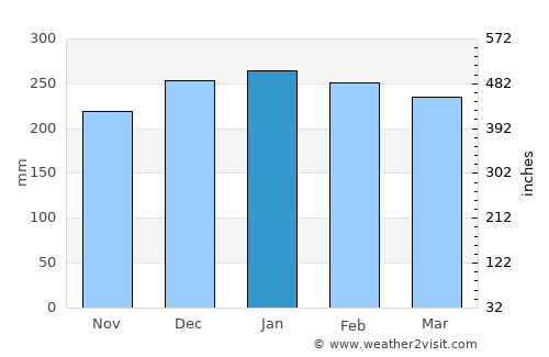 Cobija average rain in January