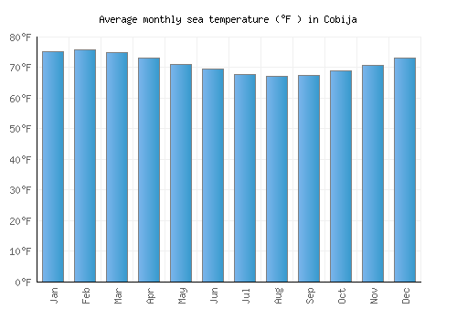 Cobija average sea temperature chart (Fahrenheit)