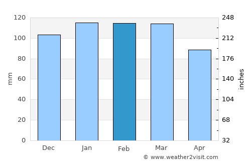Cochran average rain in February