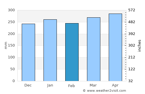 Codajás average rain in February
