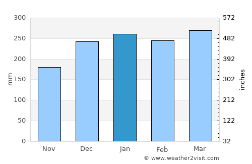 Codajás average rain in January