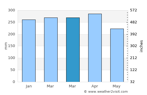 Codajás average rain in March