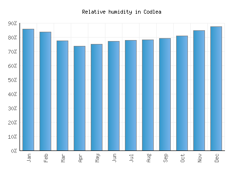 Codlea relative humidity averages