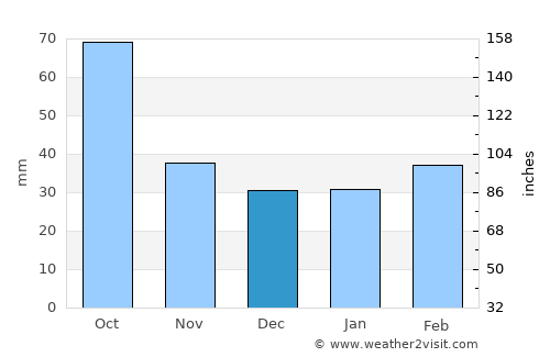 Coleman average rain in December