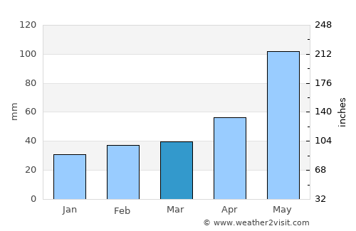 Coleman average rain in March