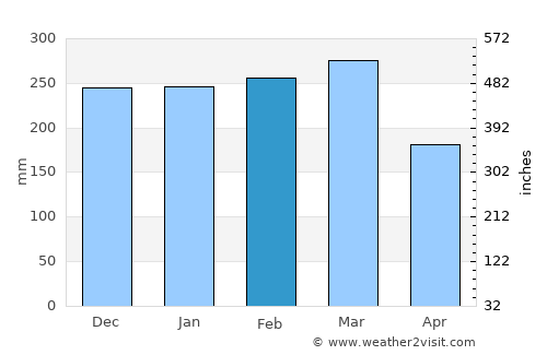 Conceição do Araguaia average rain in February