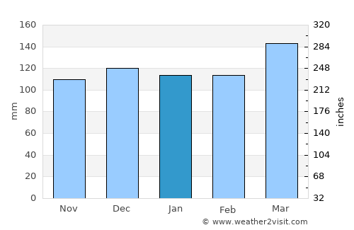 Conscripto Bernardi average rain in January