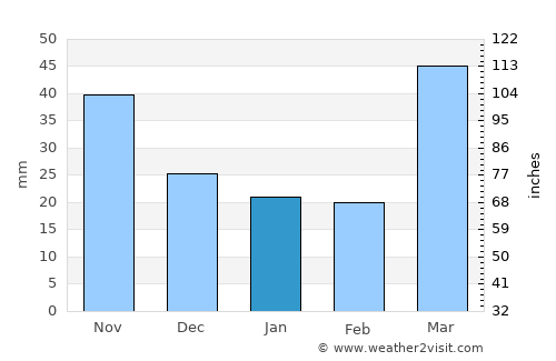 Coon Rapids average rain in January