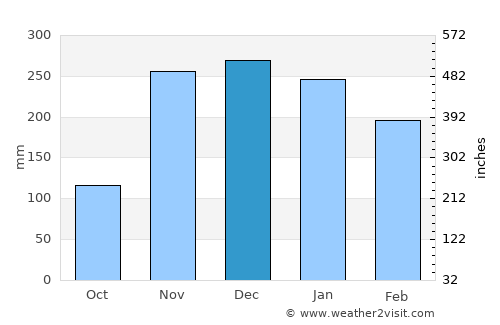 Coquille average rain in December