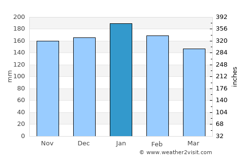 Coronel Vivida average rain in January