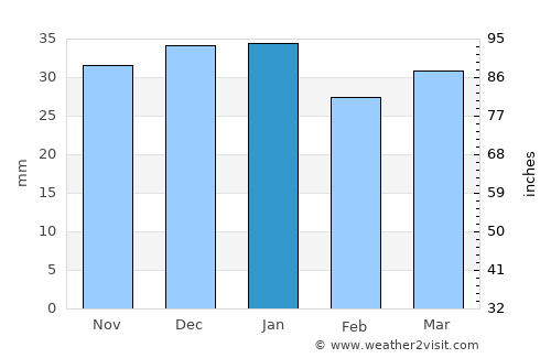 Cortez average rain in January