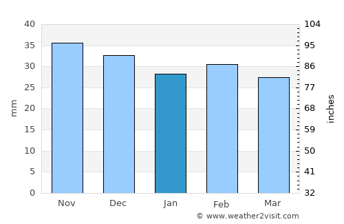Costache Negri average rain in January