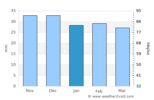 Coţuşca average rain in January