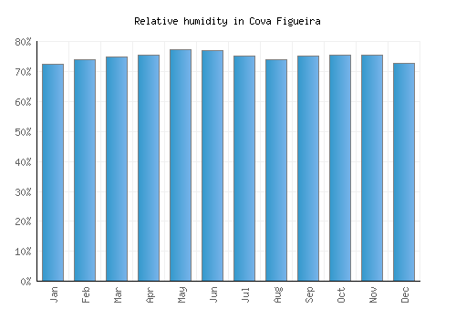 Cova Figueira relative humidity averages