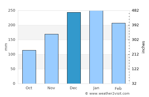 Coxim average rain in December