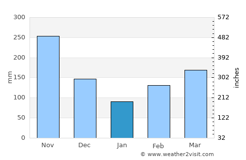 Coyaima average rain in January