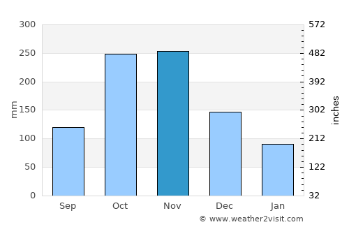 Coyaima average rain in November