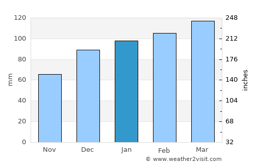 Cross City average rain in January