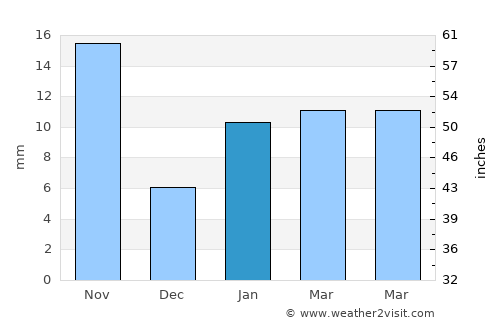 Cuapiaxtla de Madero average rain in January