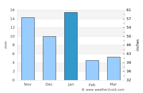 Cuerámaro average rain in January