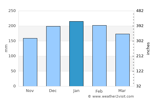 Cuiabá average rain in January