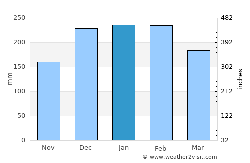 Cunha average rain in January