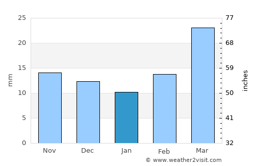 Custer average rain in January