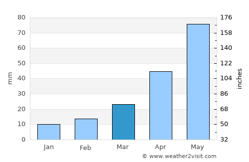 Custer average rain in March