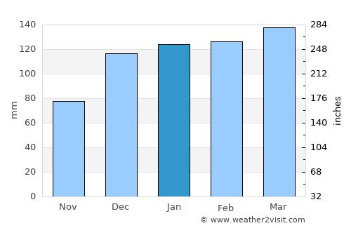 Cuthbert average rain in January