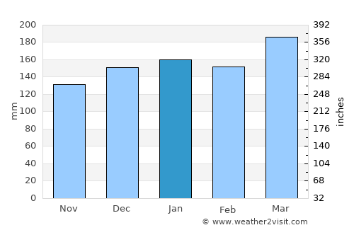 Dahlonega average rain in January