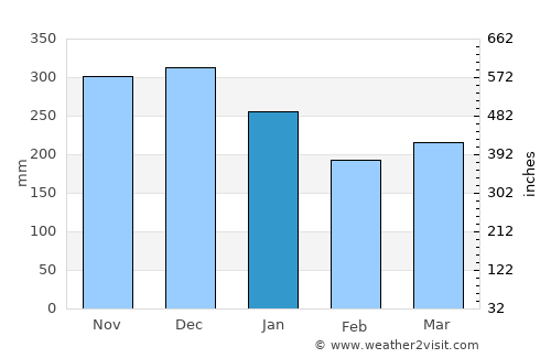 Dale average rain in January