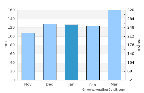 Dalton average rain in January