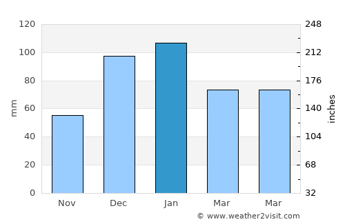 Damascus average rain in January