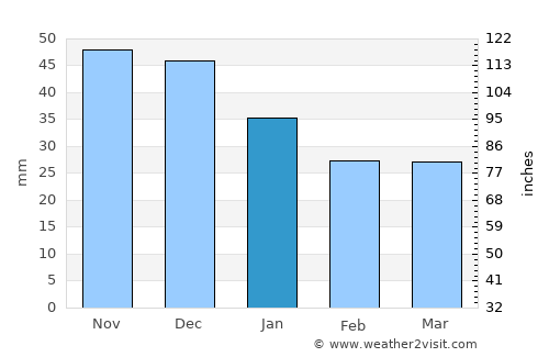 Danilov average rain in January
