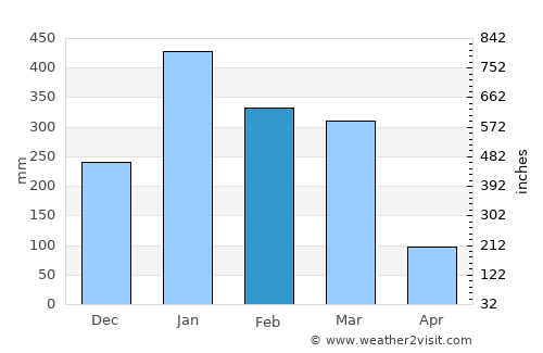 Darwin average rain in February