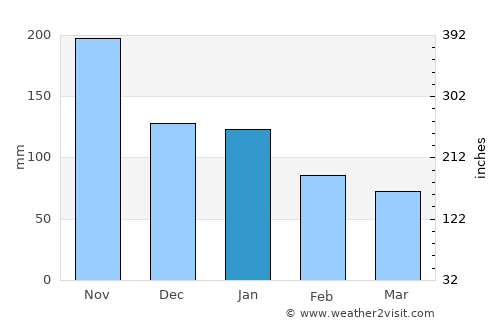 Dauis average rain in January