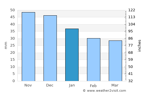 Davydovo average rain in January