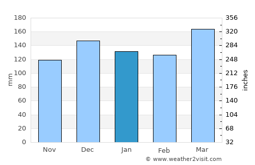 Decatur average rain in January
