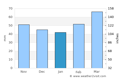 Decatur average rain in January