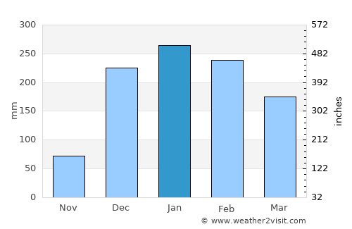 Dedza average rain in January
