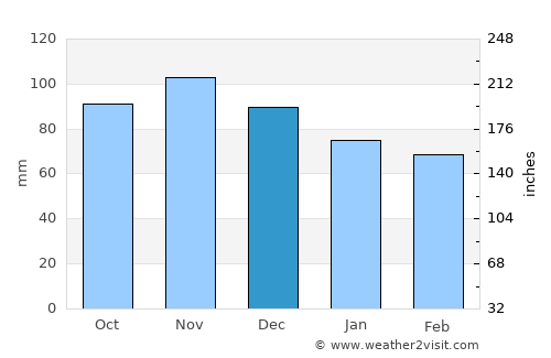 Delhi average rain in December