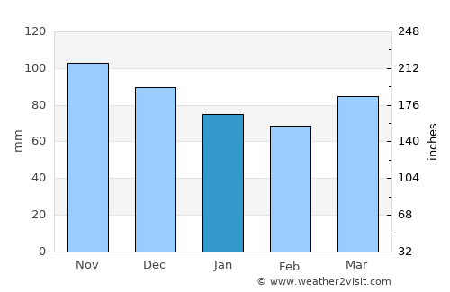 Delhi average rain in January